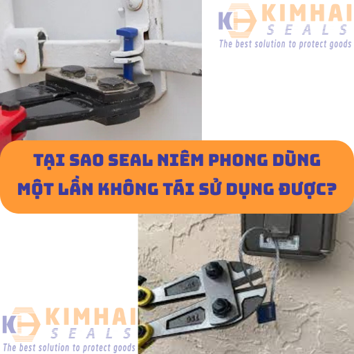 Tại sao seal niêm phong dùng một lần không thể tái sử dụng được