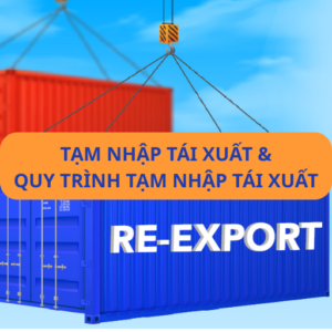 Tạm nhập tái xuất và 6 bước quy trình tạm nhập tái xuất